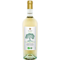 Sgarzi - Chardonnay [6 x 0,75l] weiß; trocken; 12,0 % Vol.