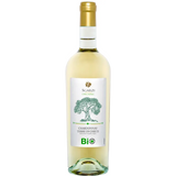 Sgarzi - Chardonnay [6 x 0,75l] weiß; trocken; 12,0 % Vol.