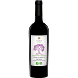 Sgarzi - Nero d'Avola [6 x 0,75l] rot; trocken; 13,0 % Vol.