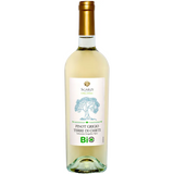 Sgarzi - Pinot Grigio [6 x 0,75l] weiß; trocken; 12,0 % Vol.