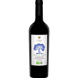 Sgarzi - Cabernet Sauvignon [6 x 0,75l] rot; trocken; 12,5 % Vol.